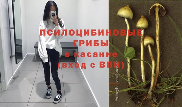 амфетамин Богородицк
