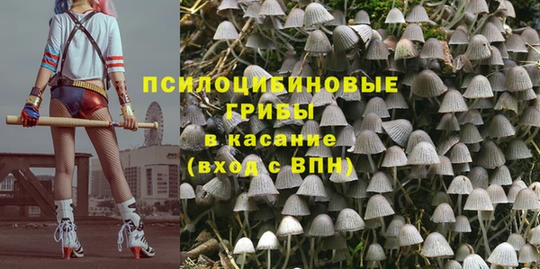 гидропоника Белоозёрский
